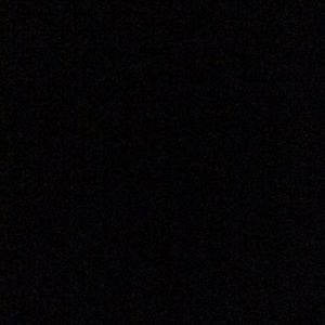 Meet your Posher, Travon